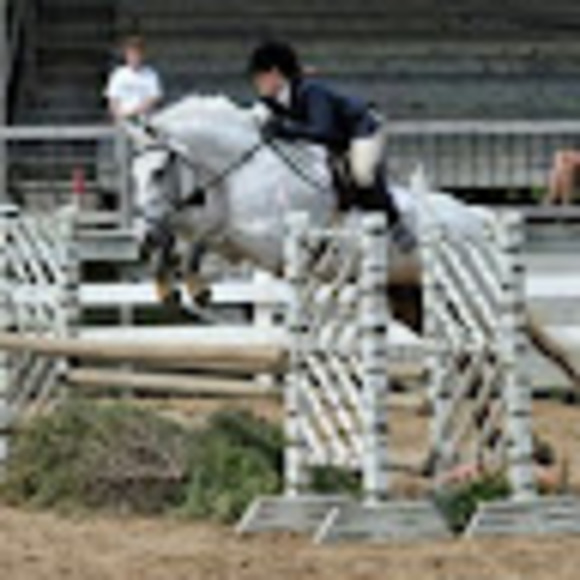 Meet your Posher, Victoria - Picture 1 of 1